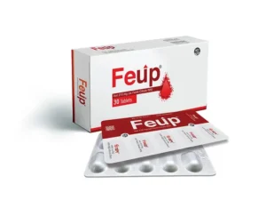 Feup 210
