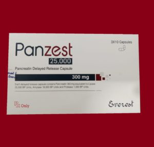 Panzest 25000